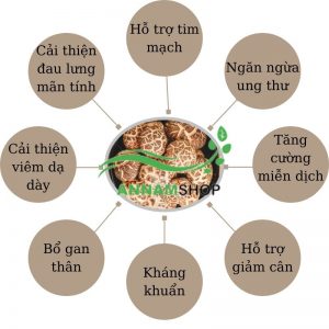 tác dụng của nấm hương